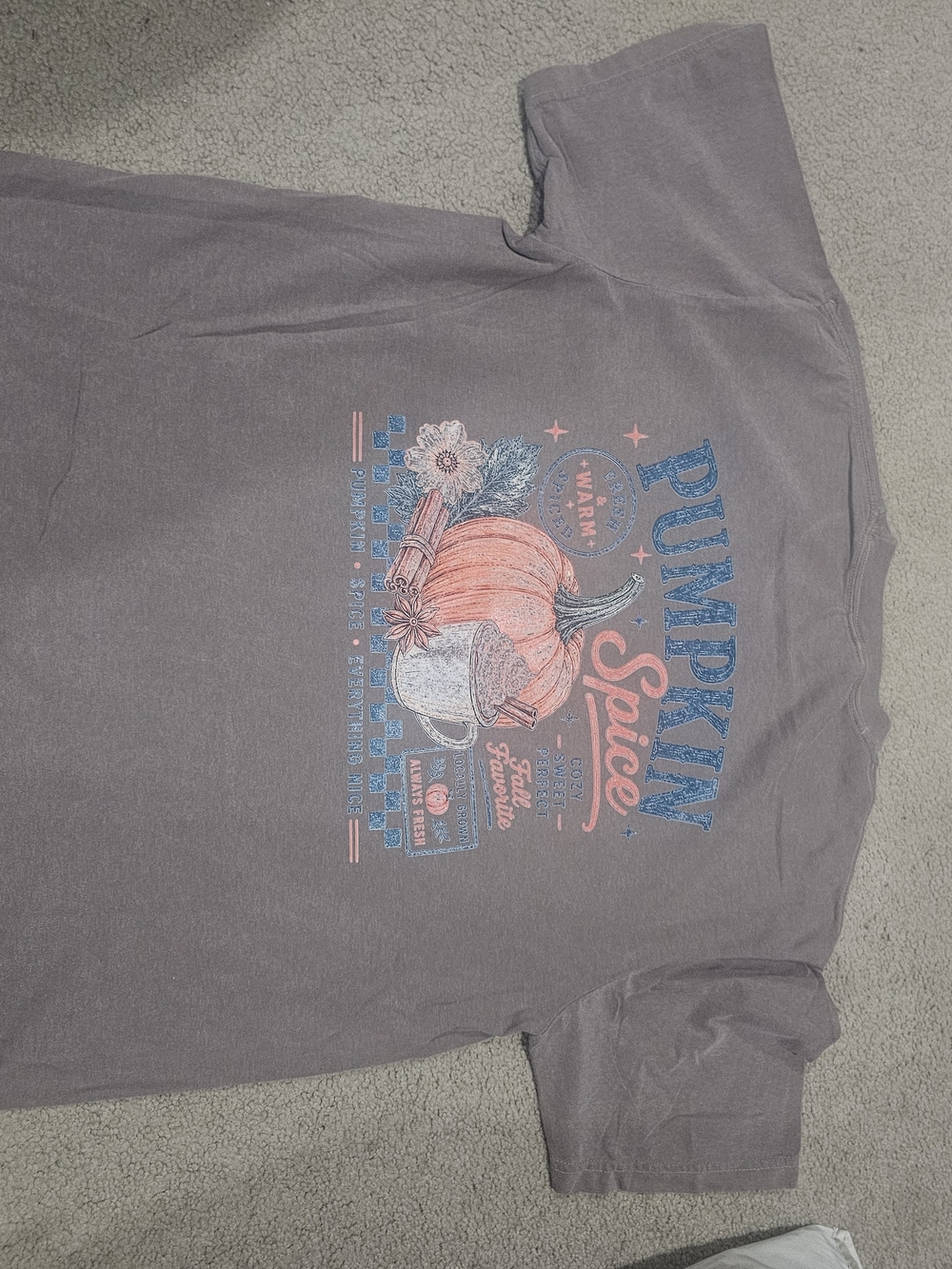 Comfort Colors Graphic Short Sleeve Tee in Gray